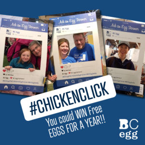#ChickenClick and WIN free eggs with BC Egg!