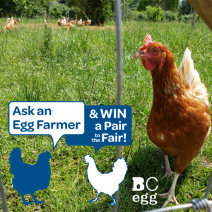 Ask an Egg Farmer & Win a Pair to the Fair