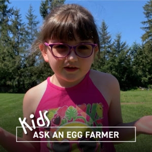 Kids can Ask an Egg Farmer with a video!